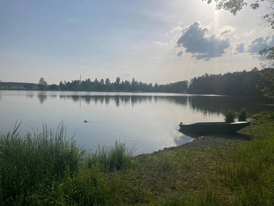 Travnatý břeh rybníka s lodičkou