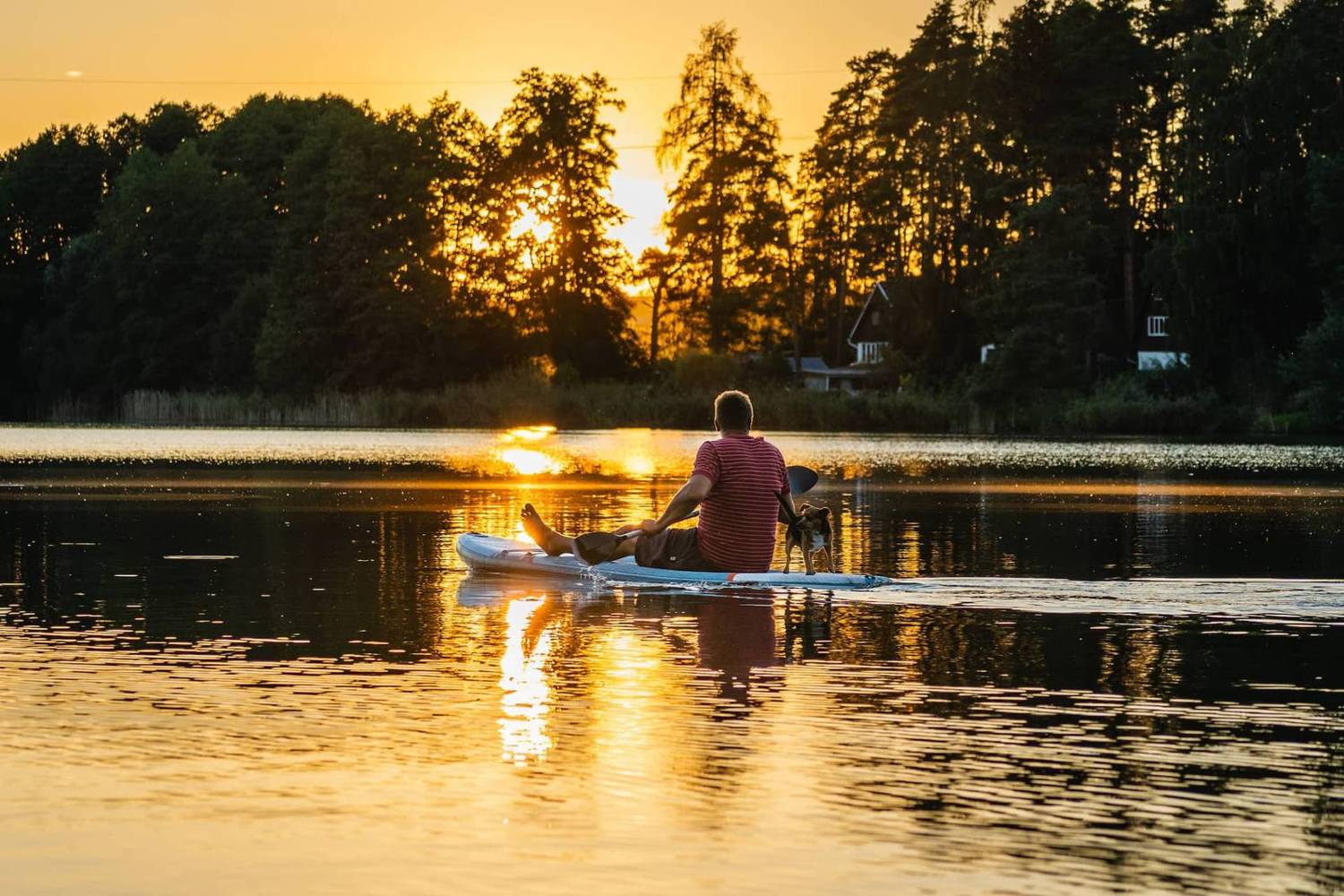 Západ slunce nad rybníkem lemovaným borovicemi, na hladině paddleboard